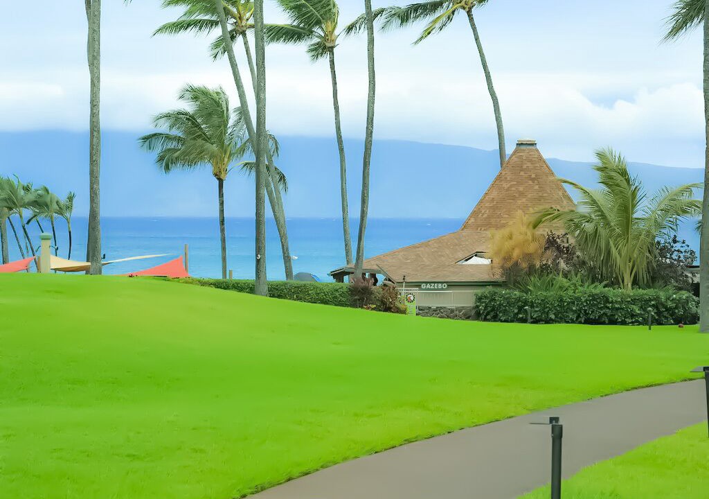 Photo of Outdoor in Napili