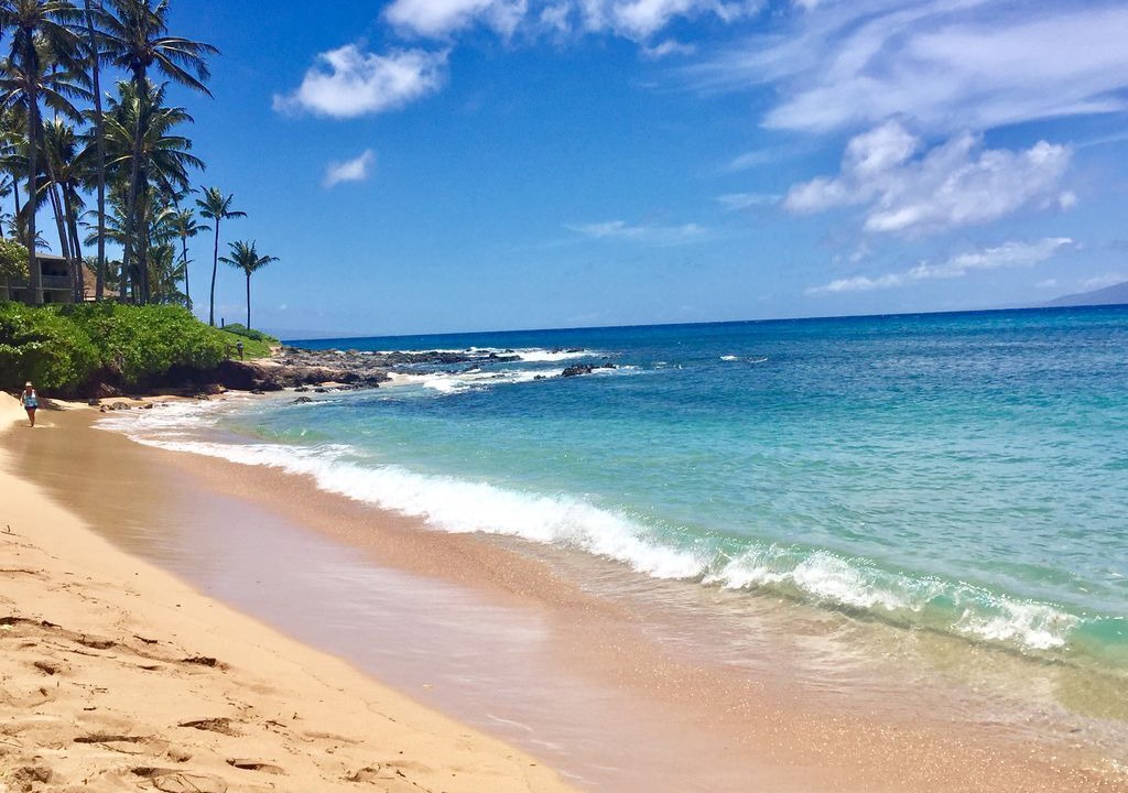 Photo of Others in Napili