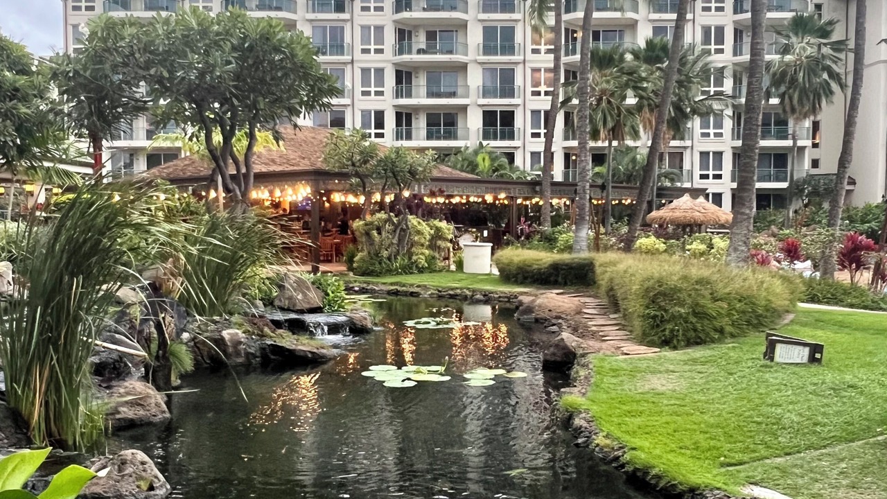 Photo of Outdoor in Kaanapali