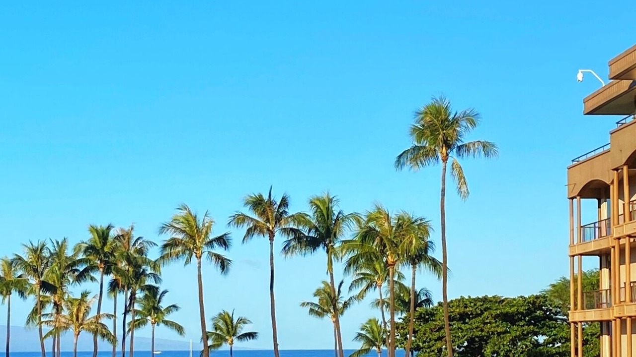 Photo of Others in Kaanapali