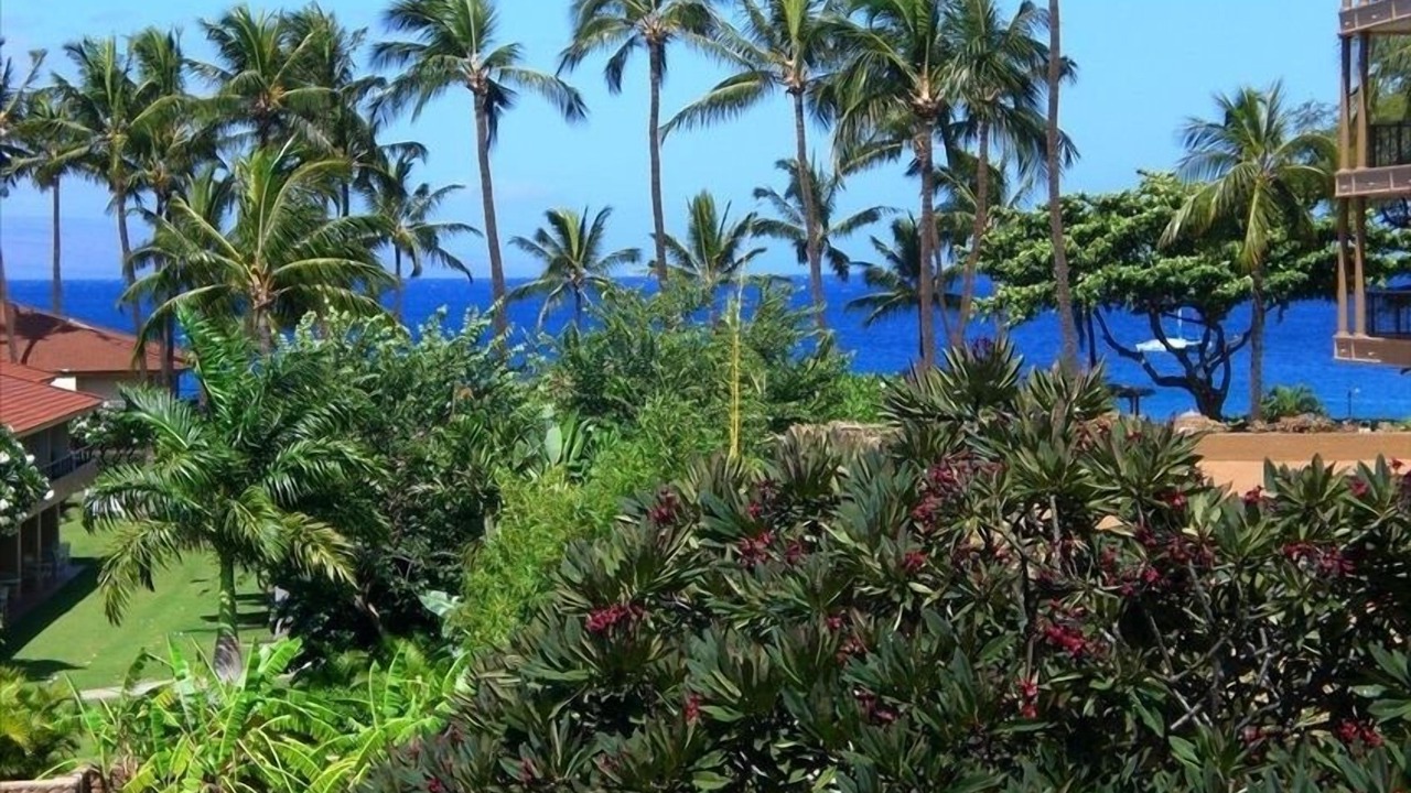Photo of Others in Kaanapali