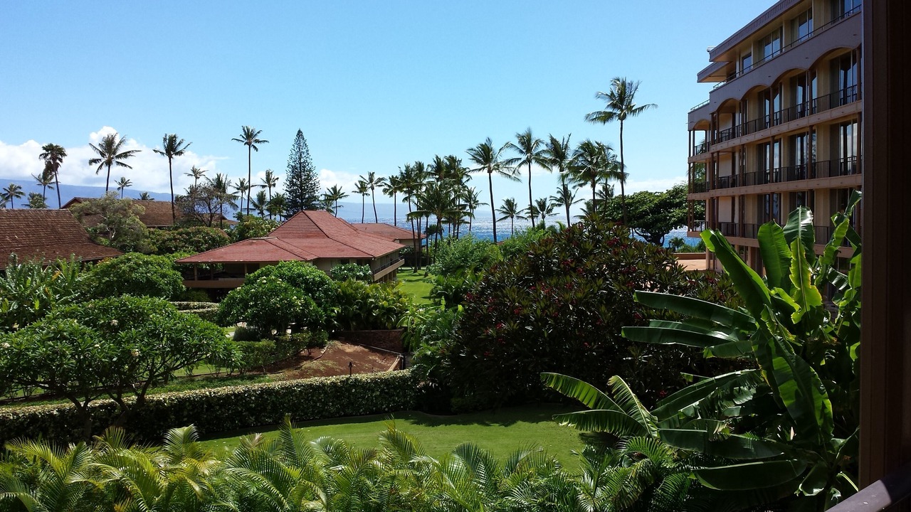 Photo of Others in Kaanapali