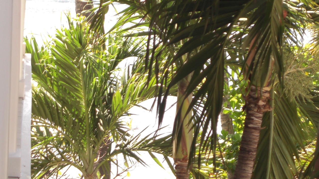 Photo of Outdoor in Historic Lahaina Front Street