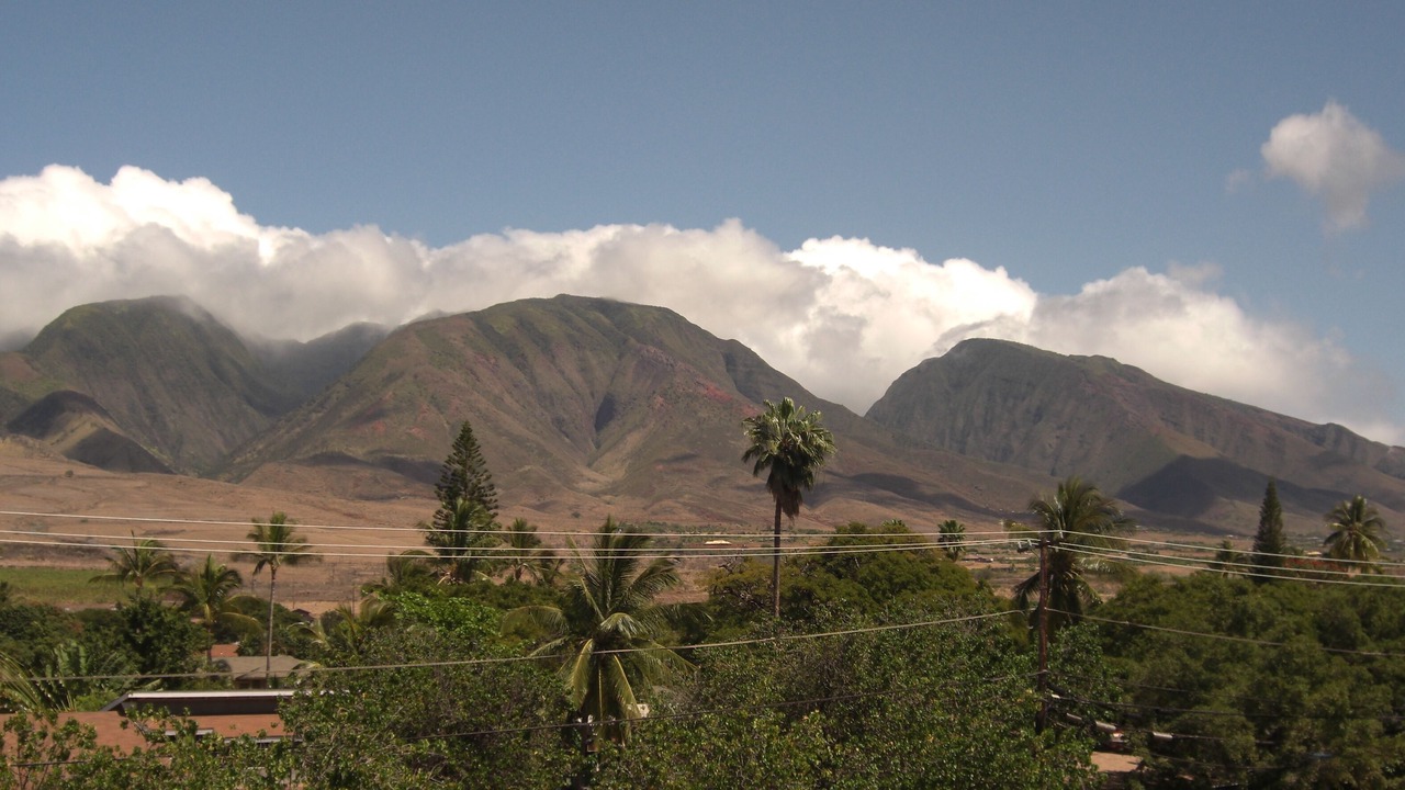 Photo of Others in Historic Lahaina Front Street