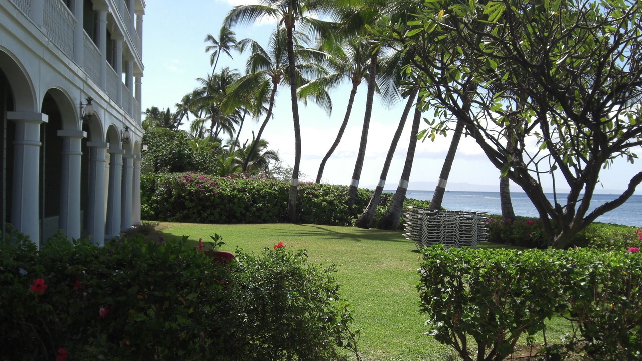 Photo of Others in Historic Lahaina Front Street