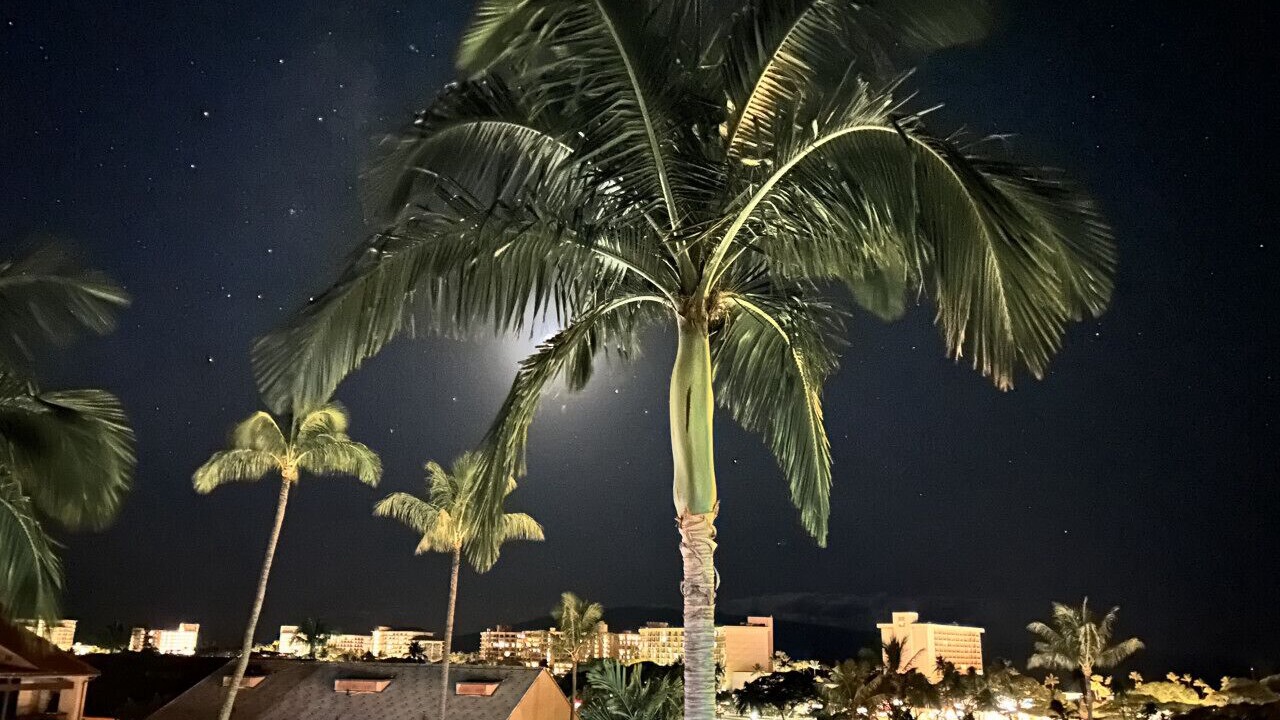 Photo of Others in Kaanapali