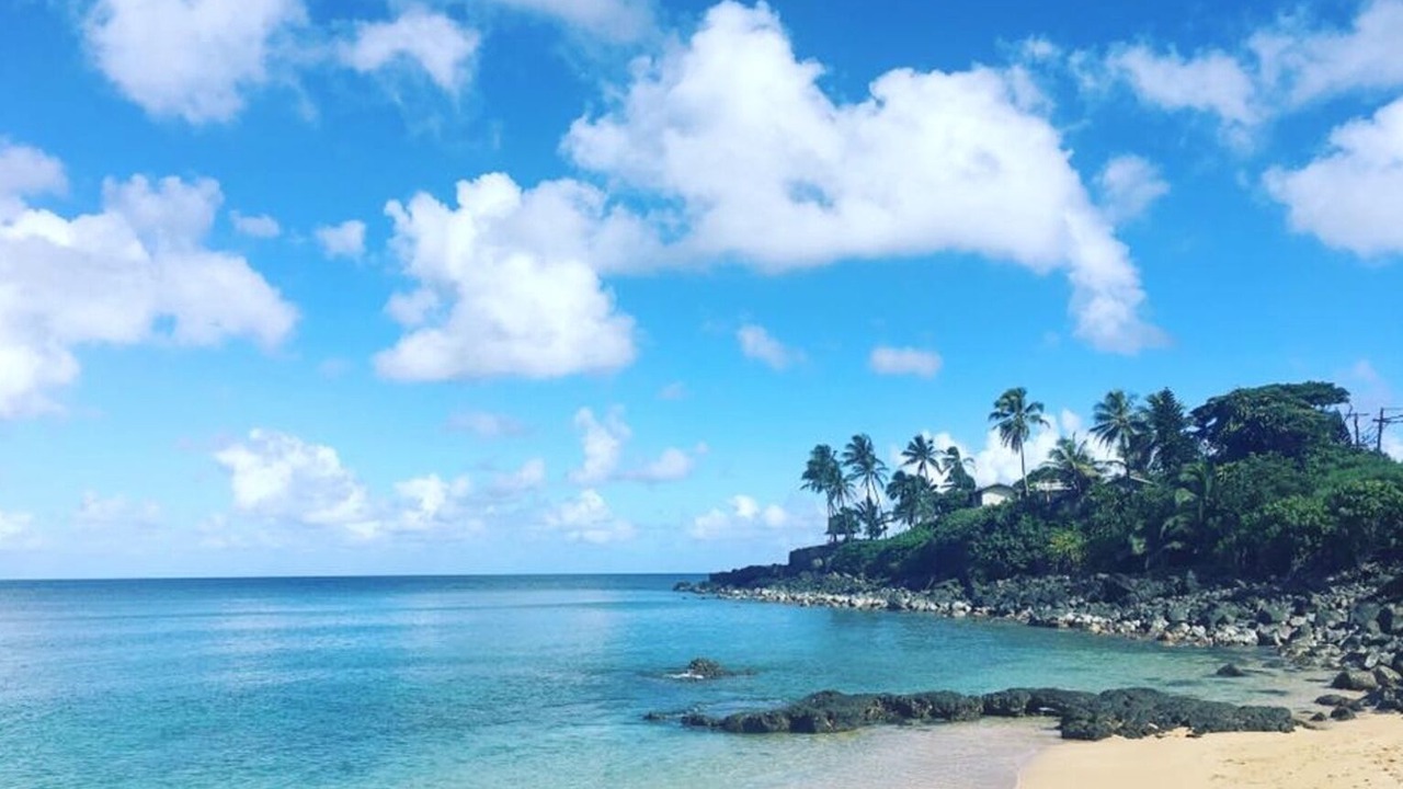 Photo of Others in Waialua