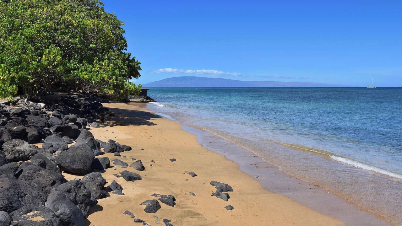 Photo of Others in Kahana