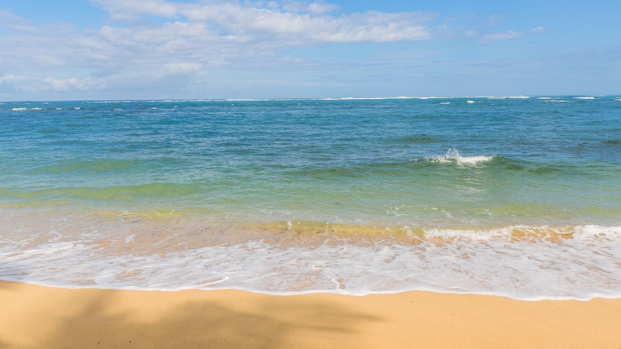 Photo of Others in Waialua