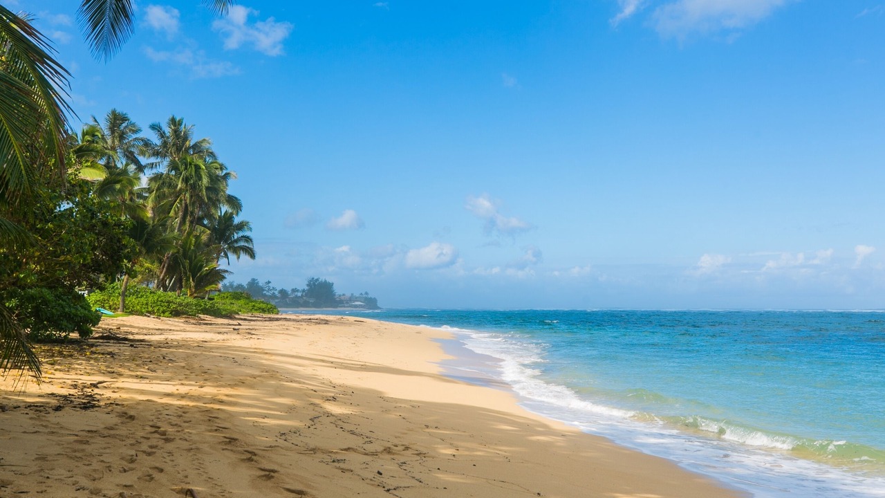 Photo of Others in Waialua