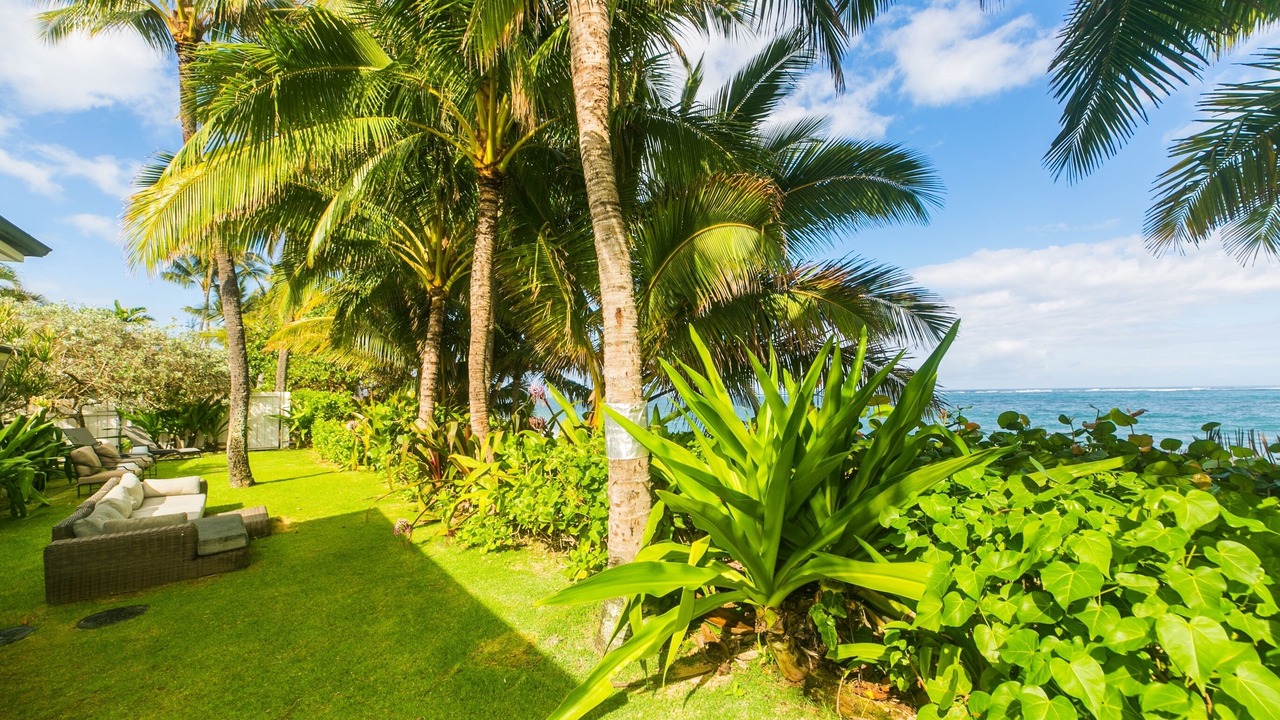 Photo of Outdoor in Waialua