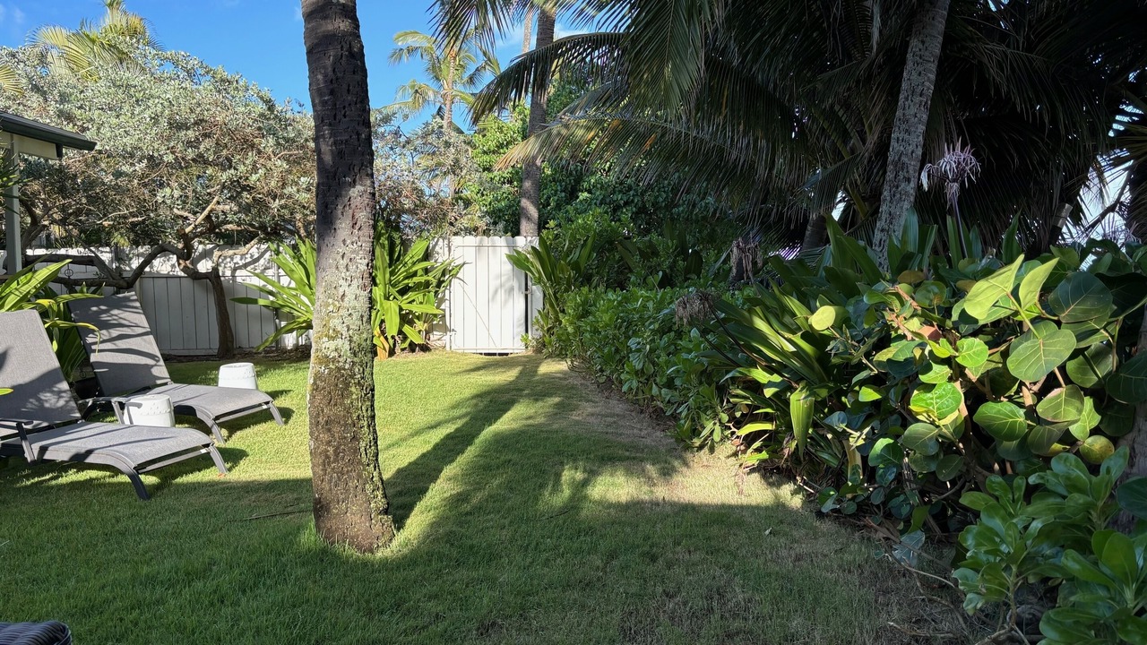 Photo of Outdoor in Waialua