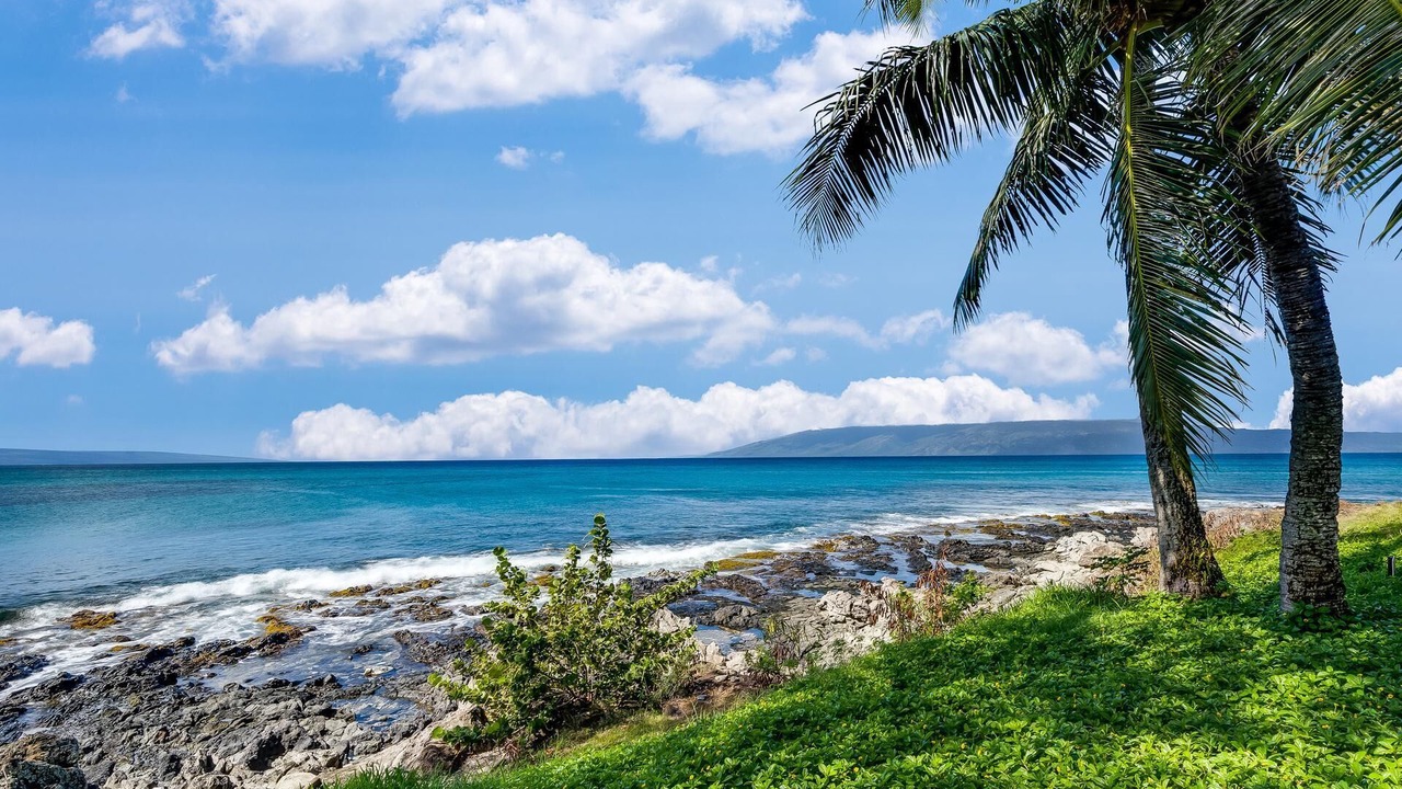 Photo of Others in Napili