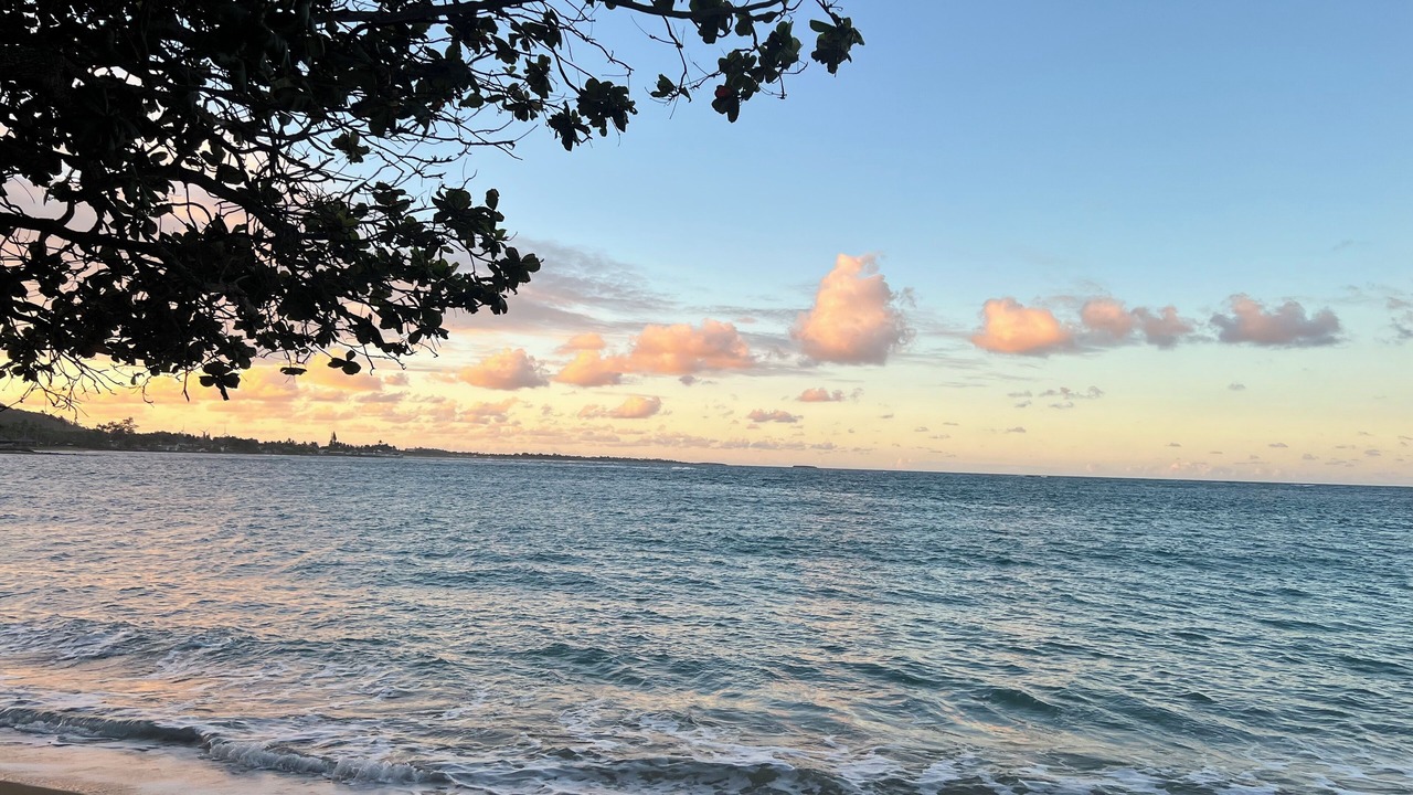 Photo of Others in Hauula