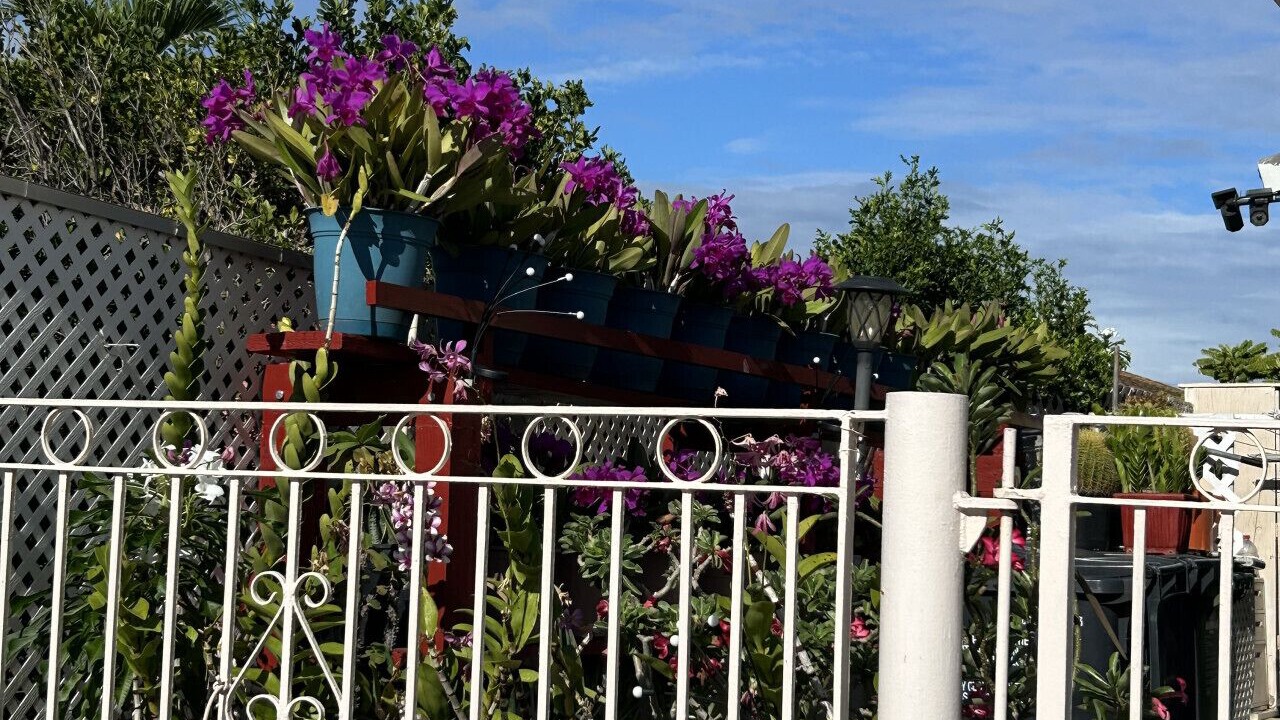 Photo of Outdoor in Kapolei