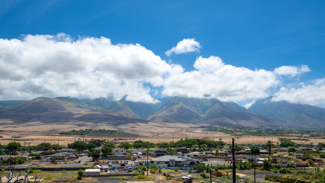 Photo of Others in Historic Lahaina Front Street