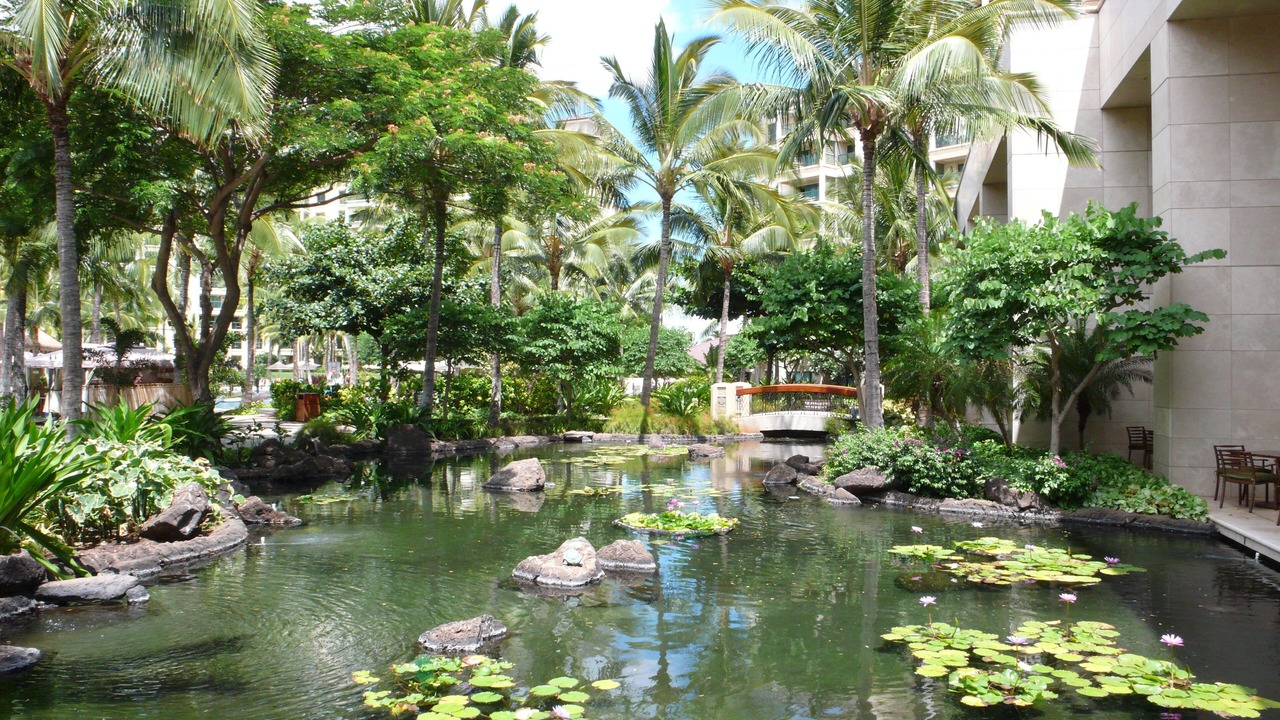 Photo of Outdoor in Kapolei