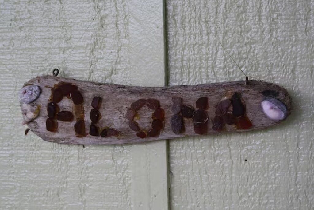 Photo of Others in Hilo