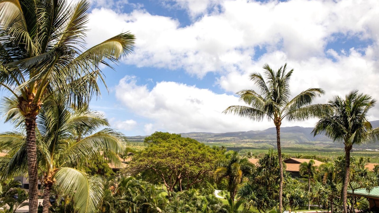 Photo of Others in Honokowai