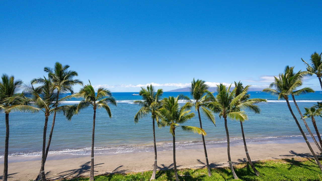 Photo of Others in Historic Lahaina Front Street