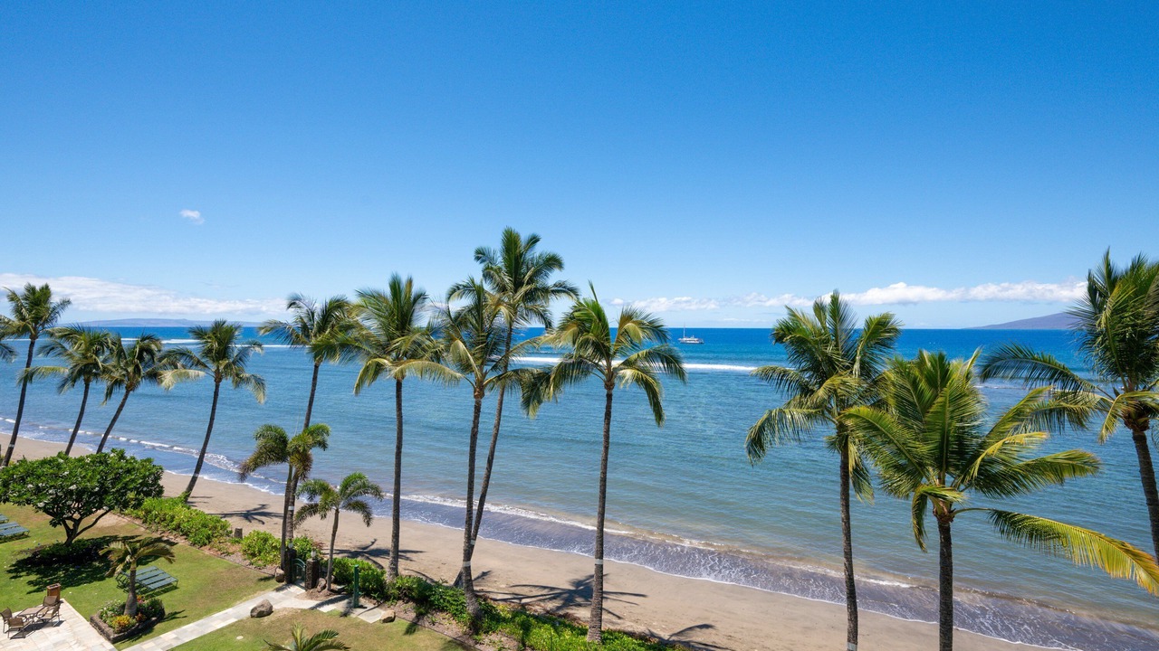 Photo of Others in Historic Lahaina Front Street
