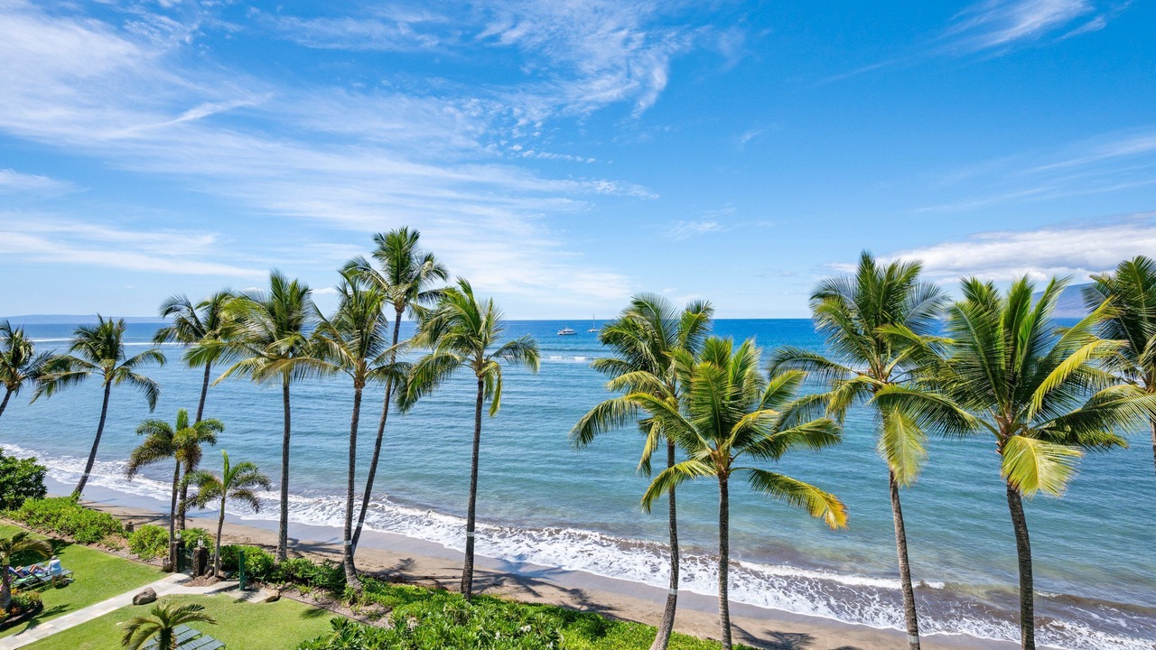 Photo of Others in Historic Lahaina Front Street
