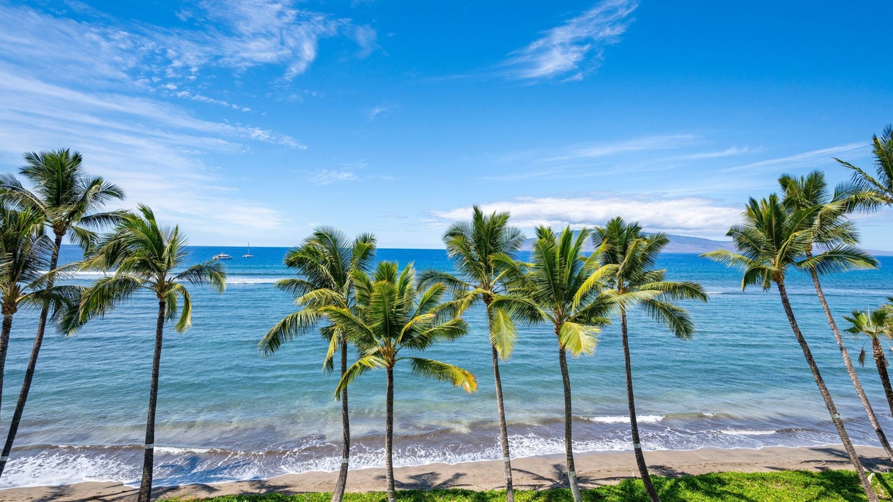 Photo of Others in Historic Lahaina Front Street