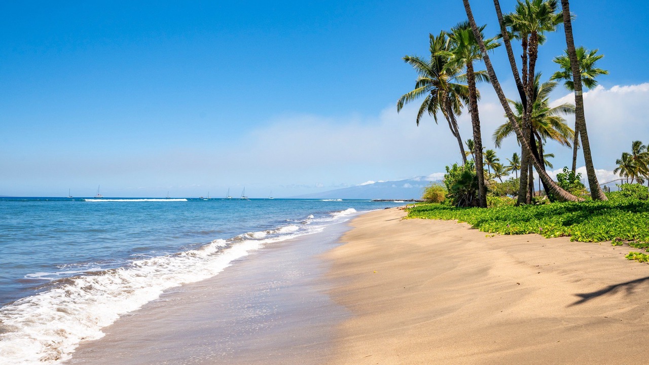 Photo of Others in Historic Lahaina Front Street