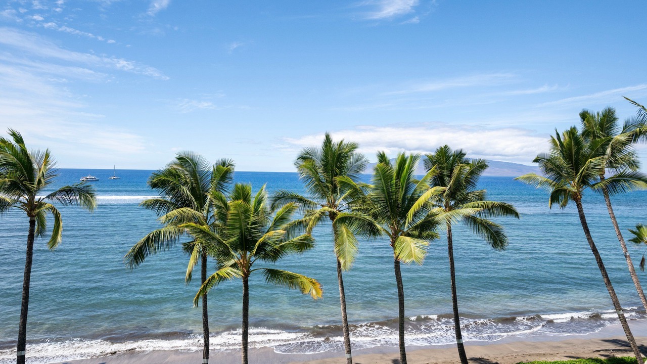 Photo of Others in Historic Lahaina Front Street