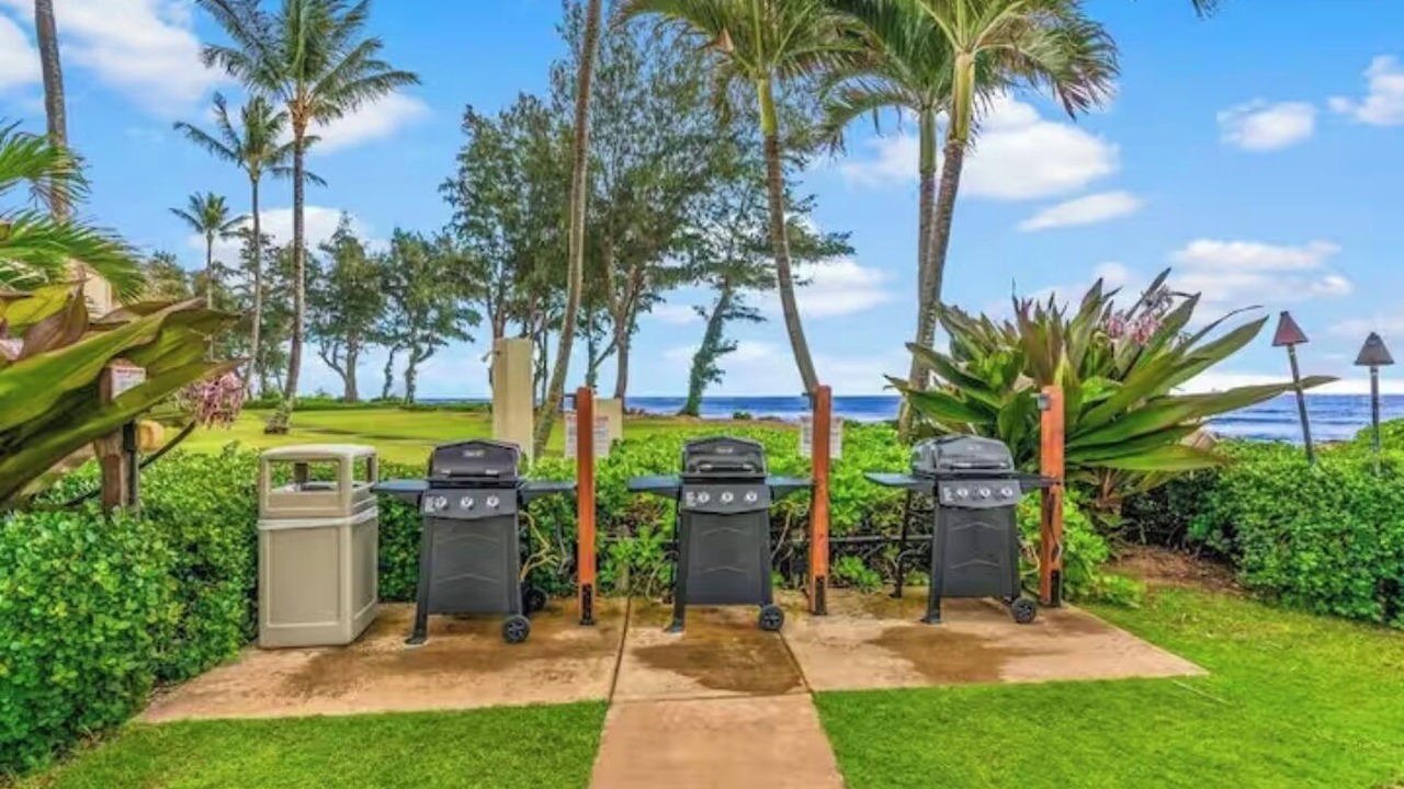 Photo of Outdoor in Wailua