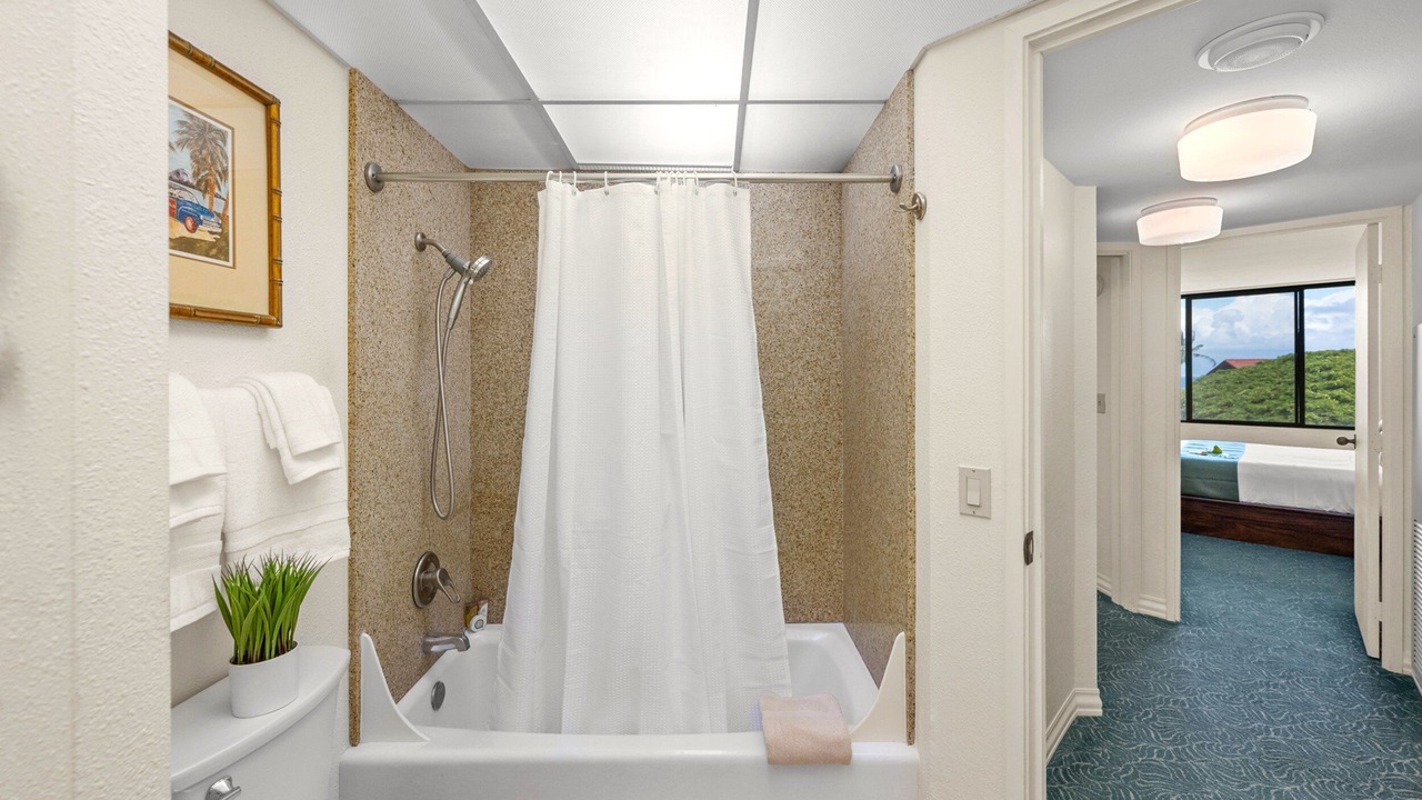 Photo of Bathroom in Honokowai