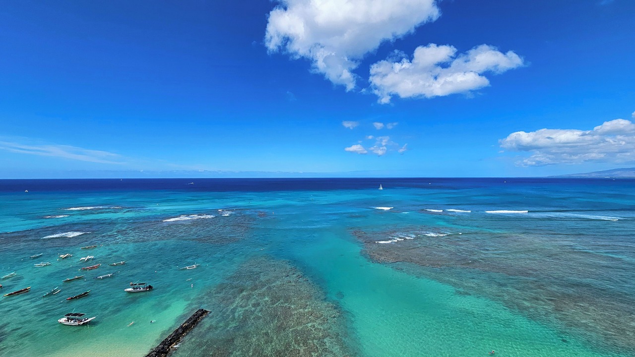 Photo of Others in Diamond Head - Kapahulu - St. Louis