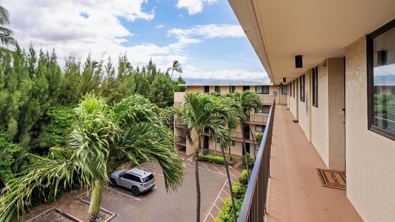 Photo of Others in Maalaea