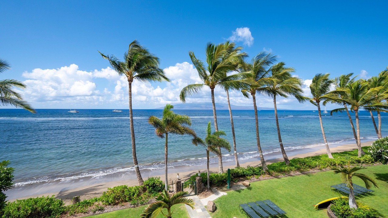 Photo of Others in Lahaina