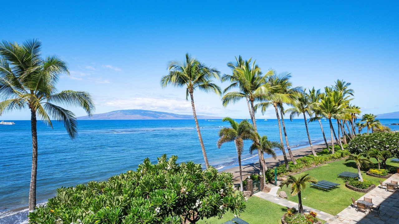 Photo of Others in Lahaina