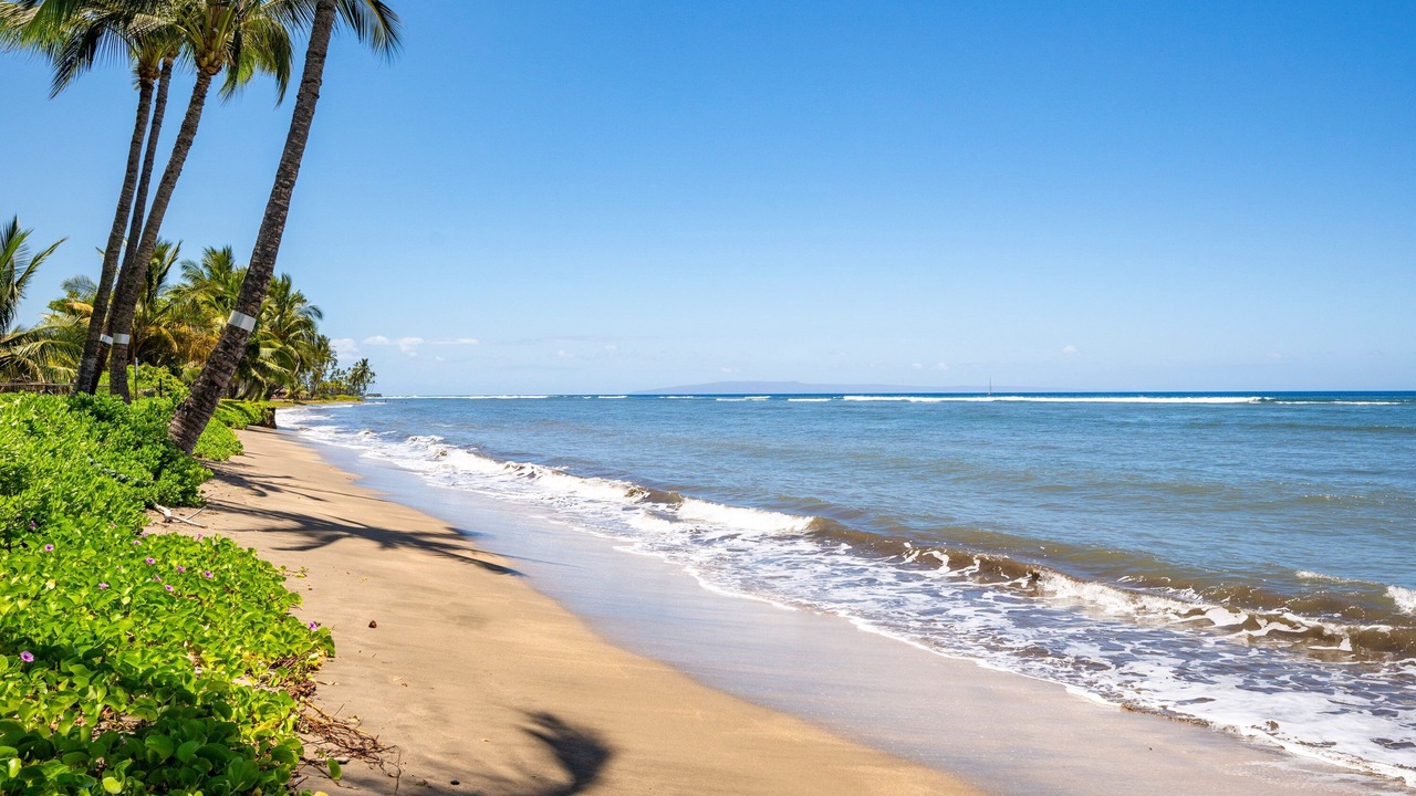 Photo of Others in Historic Lahaina Front Street