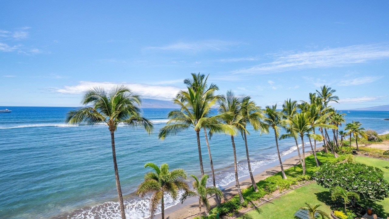 Photo of Others in Historic Lahaina Front Street