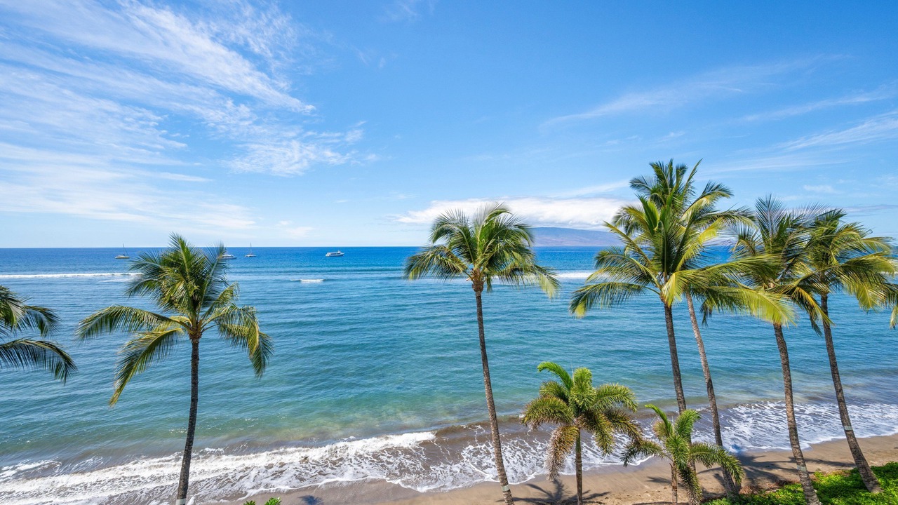 Photo of Others in Historic Lahaina Front Street
