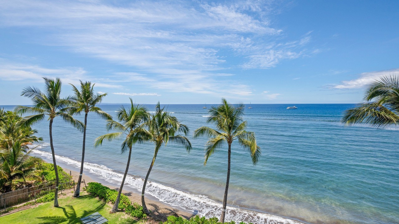 Photo of Others in Historic Lahaina Front Street