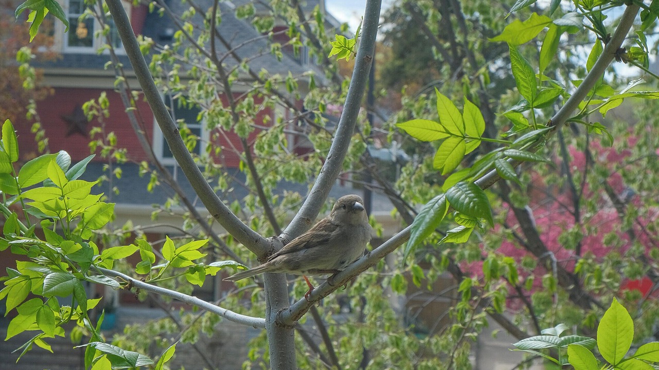 Photo of Others in Powderhorn