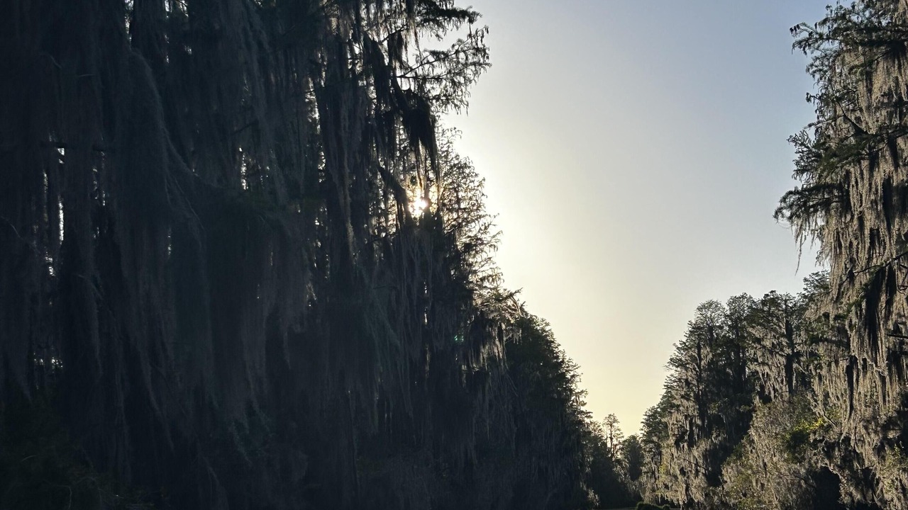 Photo of Outdoor in Folkston