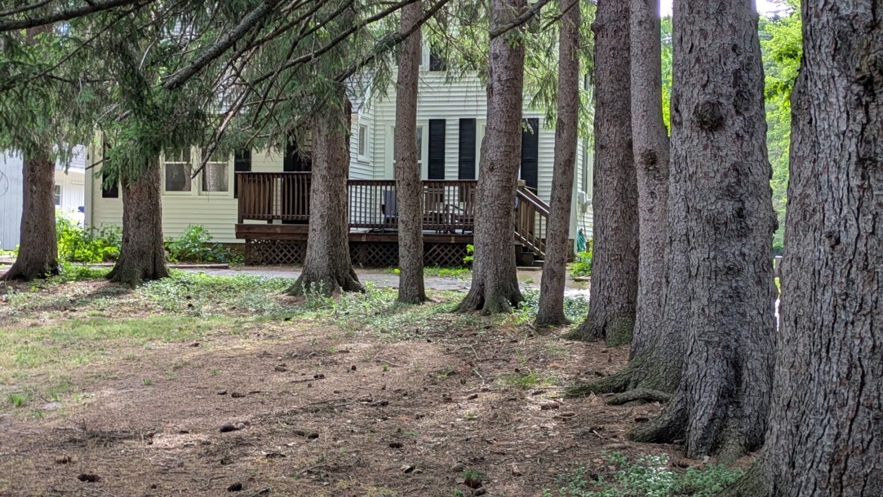 Photo of Outdoor in Niles