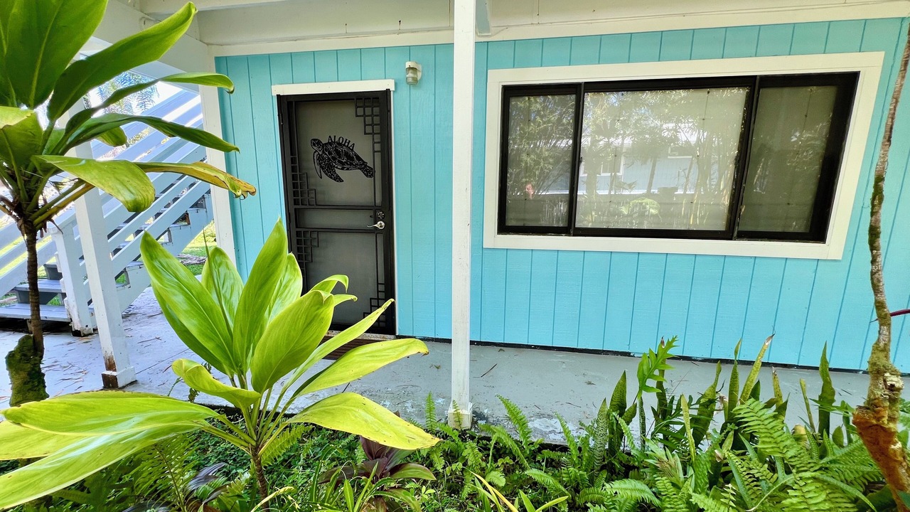 Photo of Outdoor in Kapoho