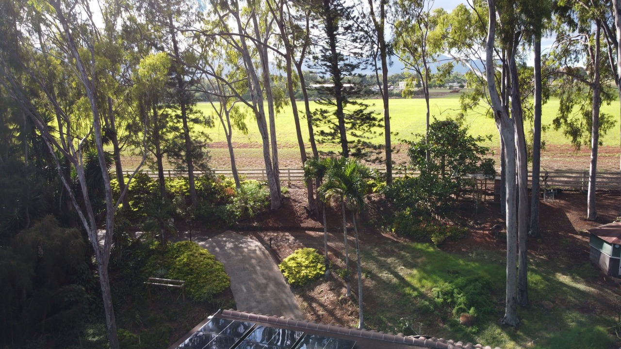 Photo of Outdoor in Mililani