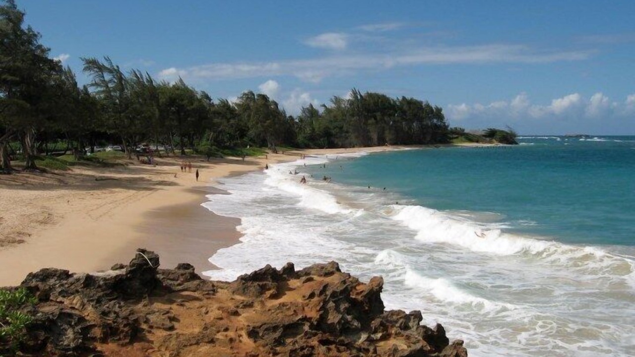 Photo of Others in Laie