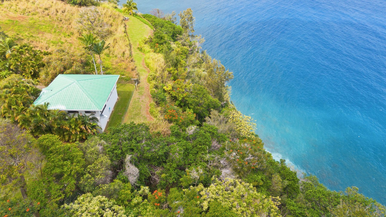 Photo of Outdoor in Waipio