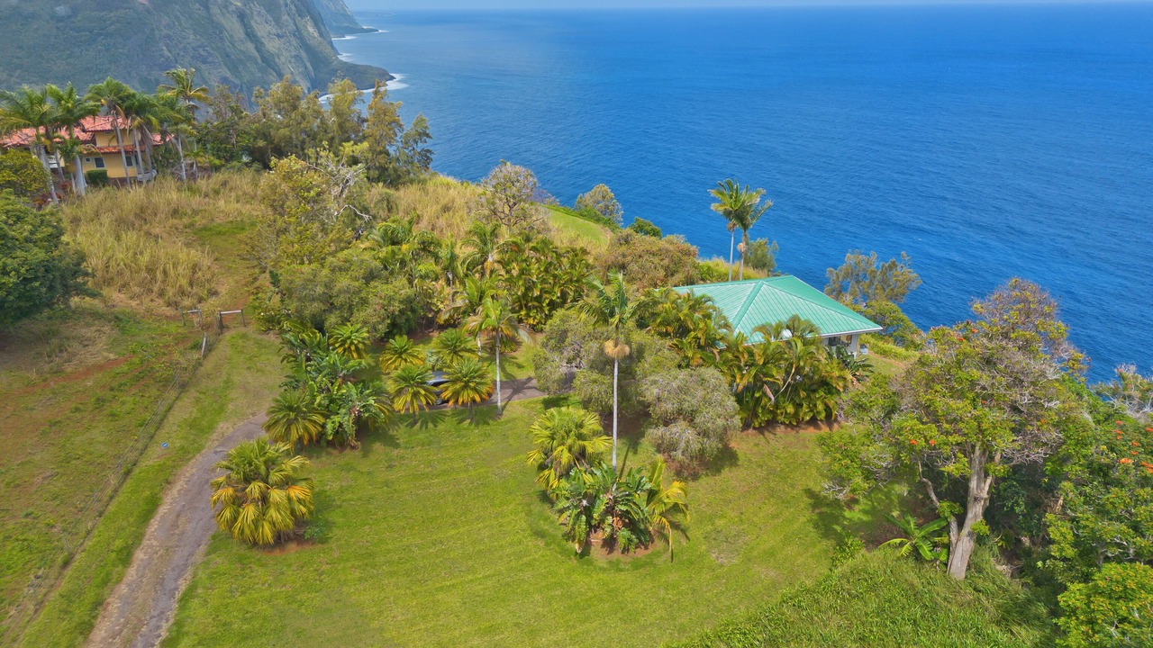 Photo of Outdoor in Waipio