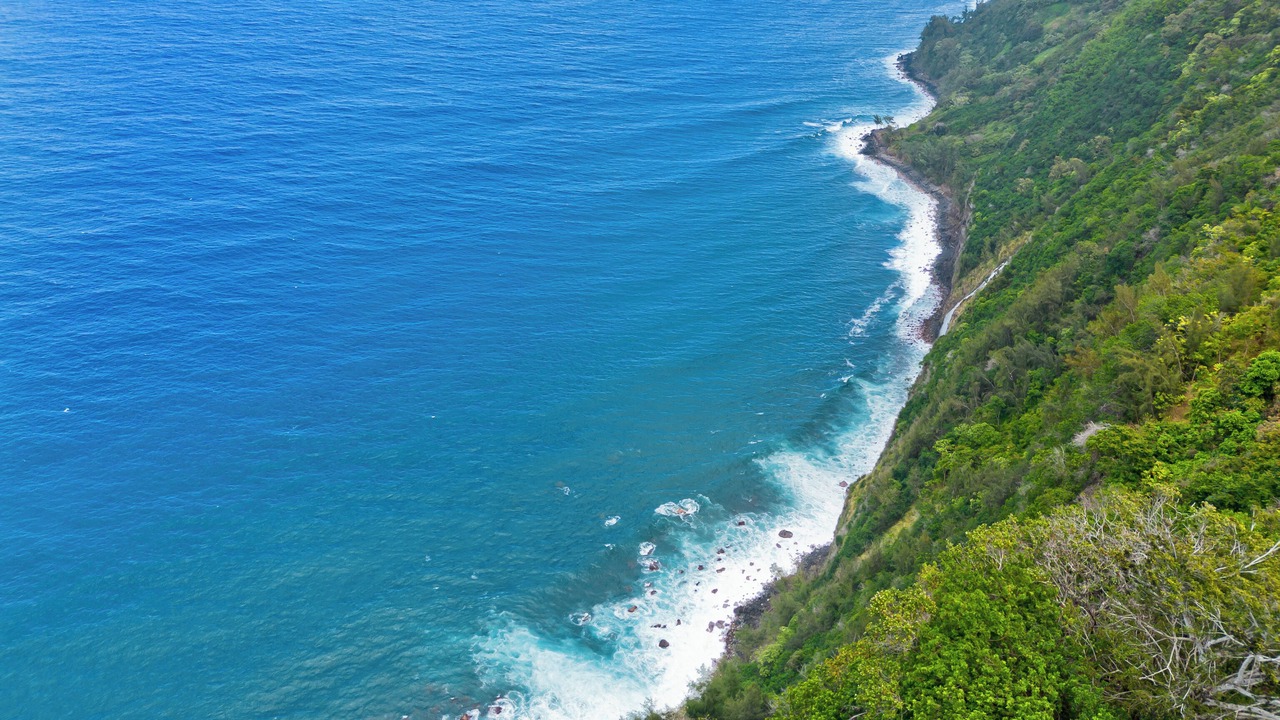 Photo of Outdoor in Waipio