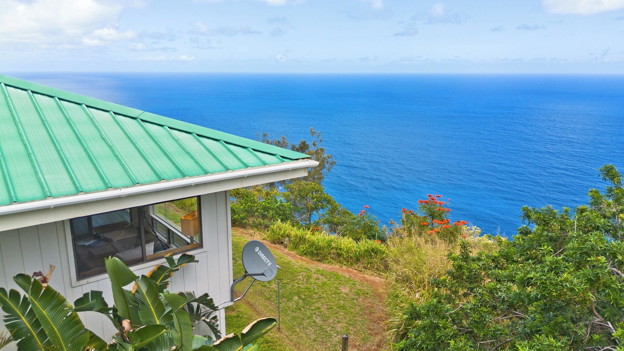 Photo of Outdoor in Waipio