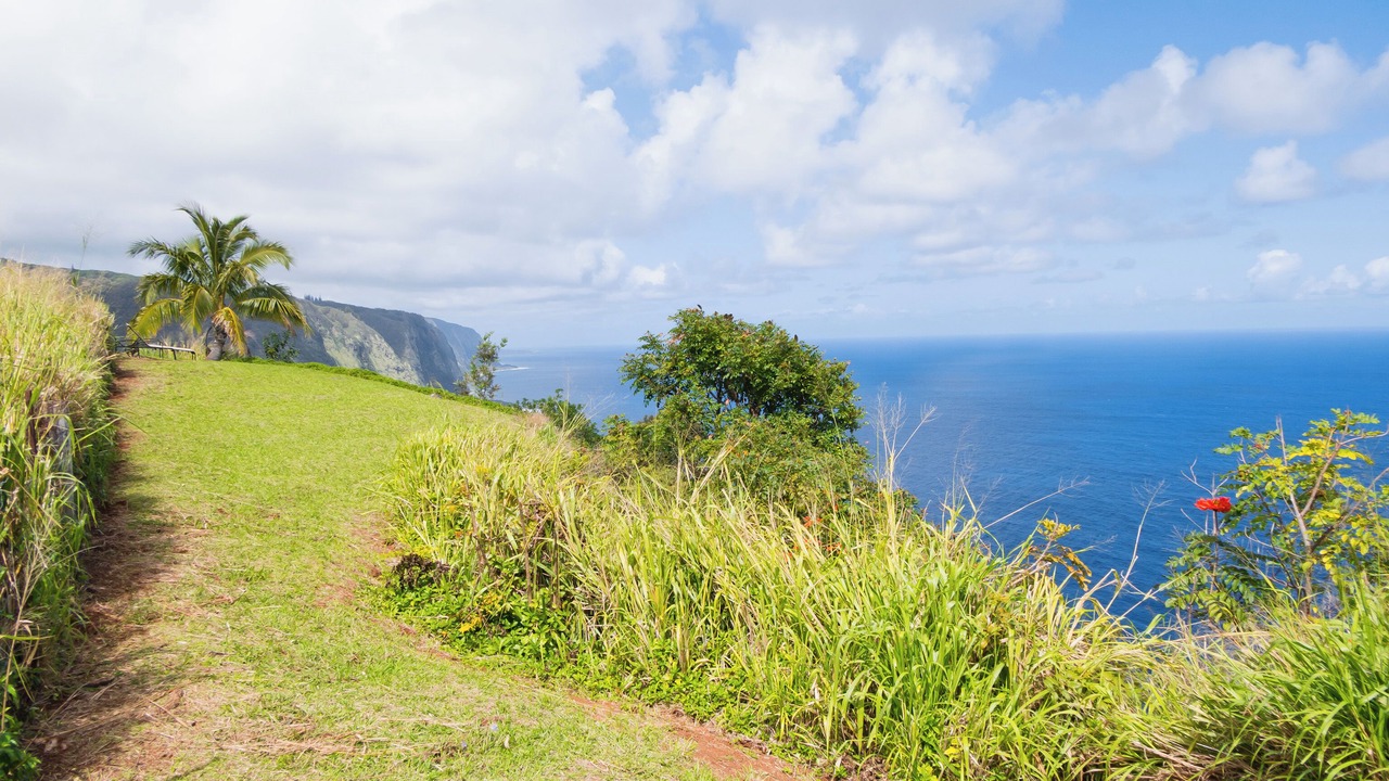 Photo of Outdoor in Waipio